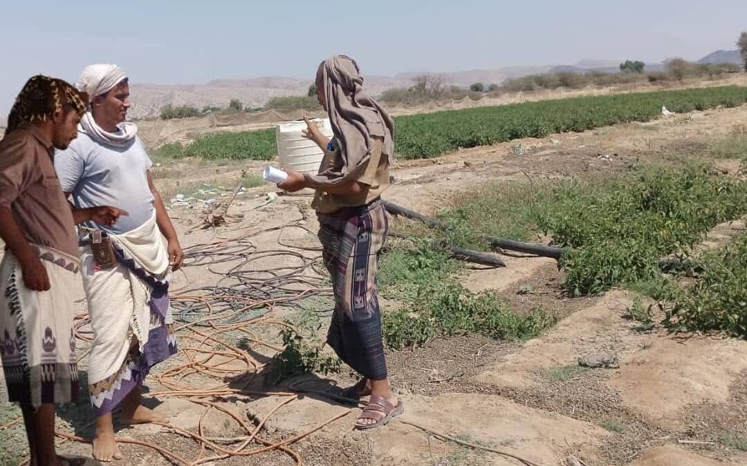 رئيس القسم الاقتصادي والخدمي بانتقالي الوضيع يتابع استخدام المبيدات الزراعية في المديرية