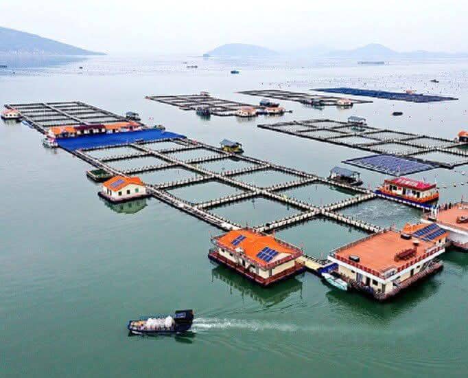 الصين تعرض استثمارات ضخمة في قطاع النفط العراقي… وبغداد لم ترد منذ 7 أشهر