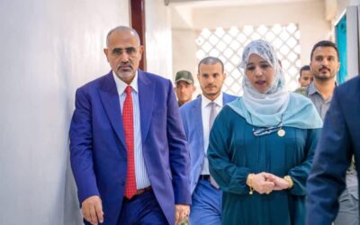 الرئيس الزُبيدي يؤكد أهمية البيانات الإحصائية في بناء الدولة وصناعة القرار