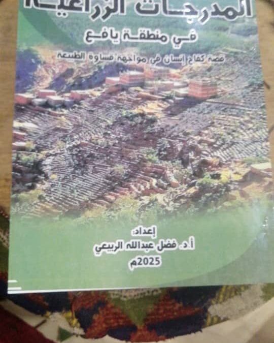المدرجات الزراعية في منطقة يافع
