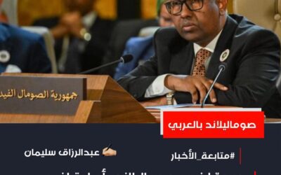 دعوة لضرب صوماليلاند ..أم اعتراف رسمي بالعجز عن مواجهة الإرهاب