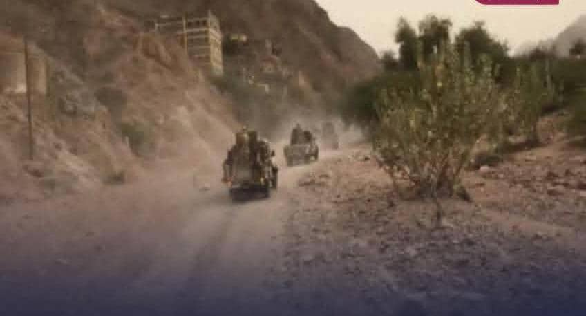 تنظيم القاعدة يعيد سيطرته على وادي المسيني غرب المكلا