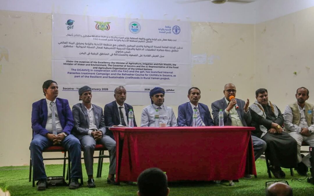 برعاية الوزير السقطري   تدشين حملة معالجة الطفيليات الدخيلة والدورة التدريبية لعمال الصحة الحيوانية بسقطرى