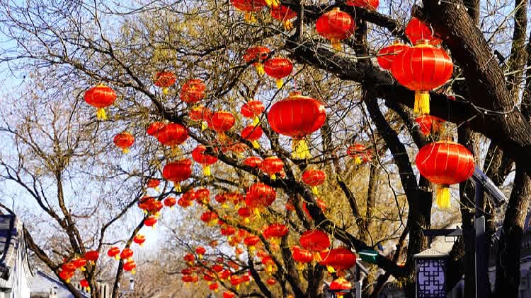 القادة الصينيون يقدمون التهاني لكبار المسؤولين المتقاعدين بمناسبة عيد الربيع