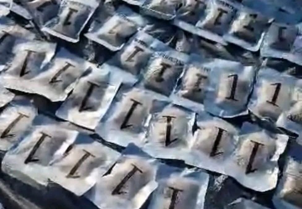 الحملة الأمنية لقوات العمالقة الجنوبية تضبط كمية كبيرة من المخدرات على متن قارب بالقرب من باب المندب