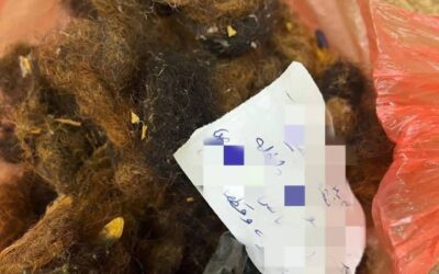 شرطة شبوة توضح للرائ العام بشأن قضية السحرة والمشعوذين