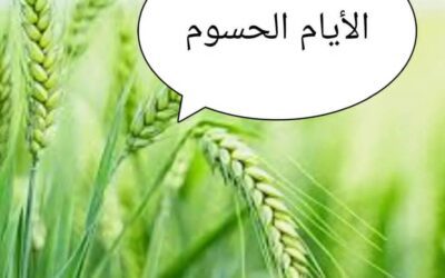 اليوم هو بداية الأيام الحسوم كما سماها أجدادنا القدماء