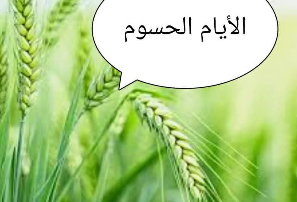 اليوم هو بداية الأيام الحسوم كما سماها أجدادنا القدماء