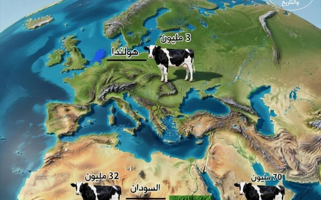 لغز الحليب.. كيف تفوقت 3 مليون بقرة هولندية على 100 مليون بقرة أفريقية؟