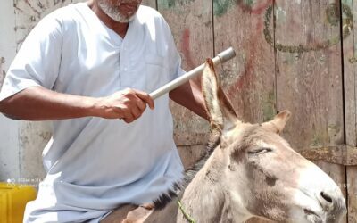 باللهجة العدنية (أضحكوا لكم قليل)