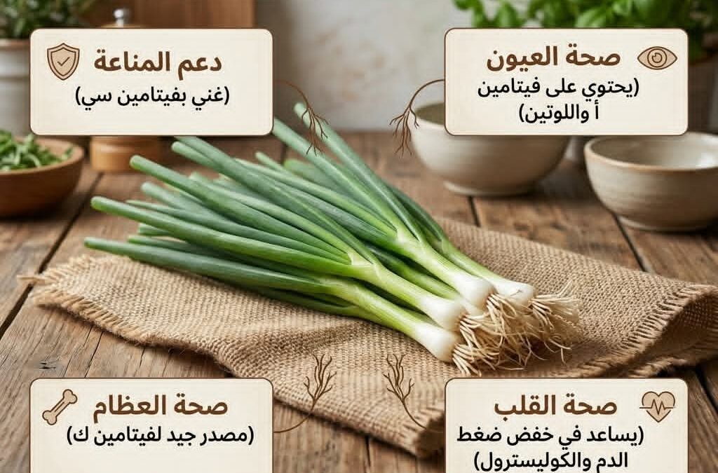 البصل الأخضر ليس مجرد إضافة لذيذة للوجبات، بل له فوائد صحية متعددة، منها