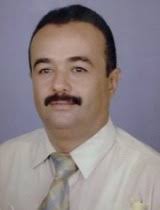 المقاومـة الجنوبيـة ..النشـأة والهـدف