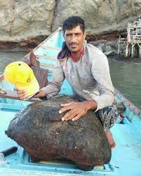 العنبر ذهب البحر