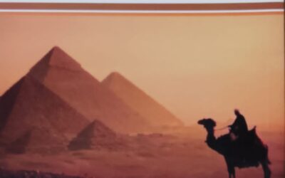 حضارم ومهريون ويوافع في مصر