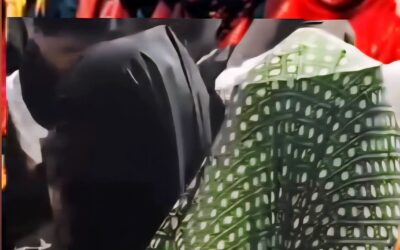 إستقبال الحريوة