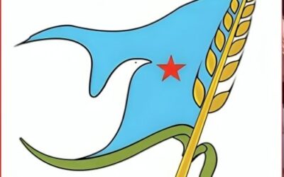 قطاع المرأة الاشتراكية بحضرموت يستنكر اقتحام مقر الحزب بالمكلا ويصفه بانتهاك خطير للحريات السياسية