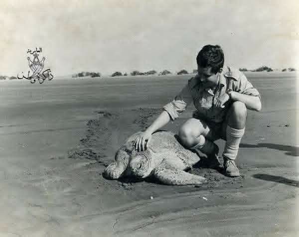 صورة منذ عام 1964م من سواحل زنجبار