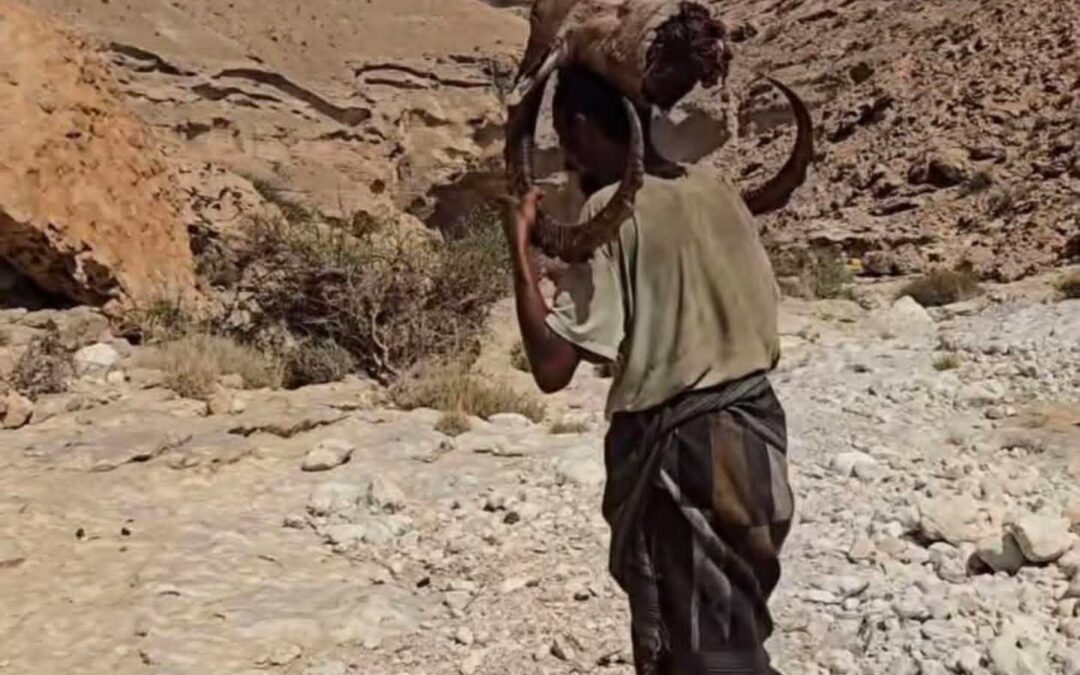 لم تكن جريمة قتل عادية… كان اغتيالًا لرمزٍ من رموز حضرموت